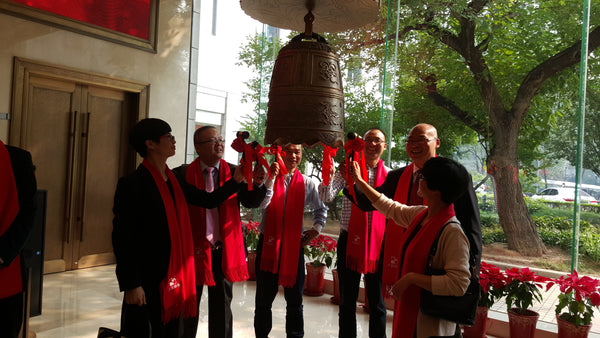 Public Listing on the NEEQ (China)